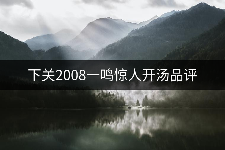 下關(guān)2008一鳴驚人開湯品評(píng) 下關(guān)2008一鳴驚人開湯品評(píng)