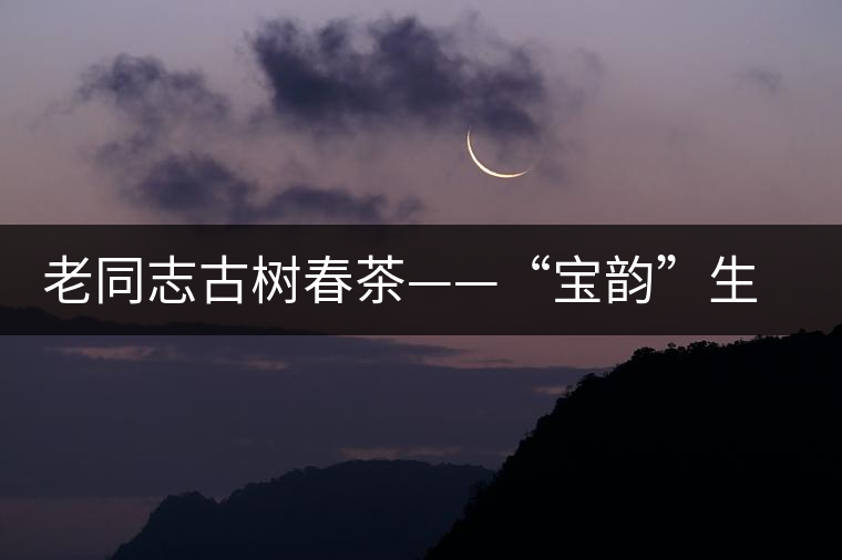 老同志古樹(shù)春茶——“寶韻”生茶開(kāi)湯鑒賞 老同志古樹(shù)春茶——“寶韻”生茶開(kāi)湯鑒賞