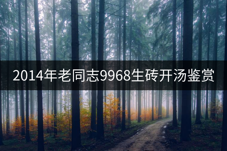 2014年老同志9968生磚開湯鑒賞 2014年老同志9968生磚開湯鑒賞