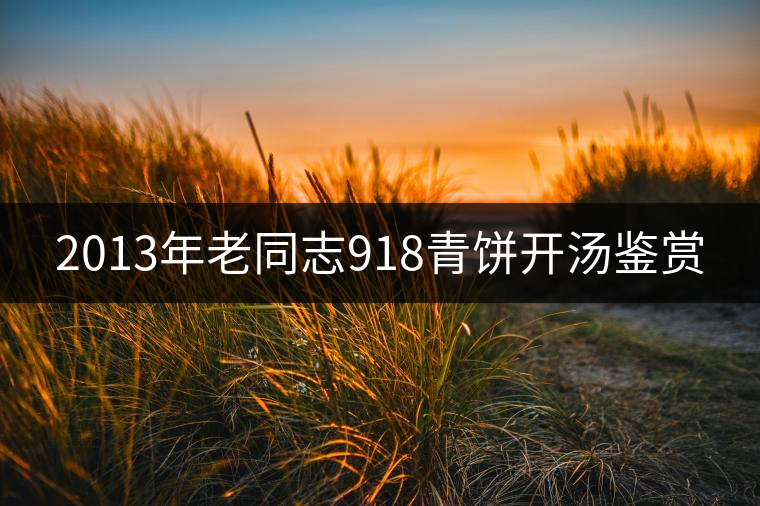 2013年老同志918青餅開(kāi)湯鑒賞