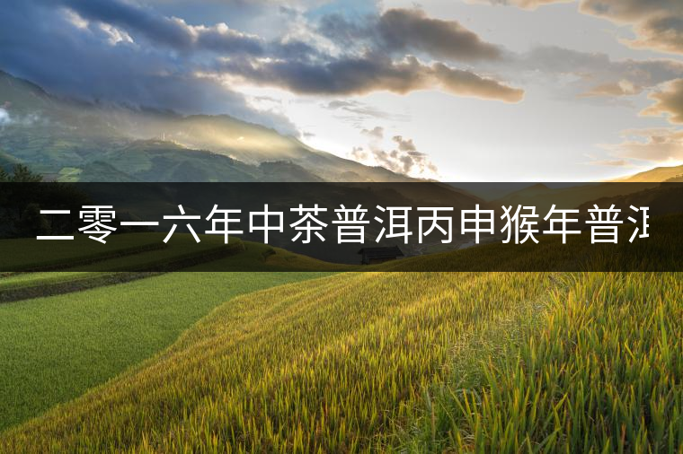 二零一六年中茶普洱丙申猴年普洱茶(888g) 二零一六年中茶普洱丙申猴年普洱茶(888g)
