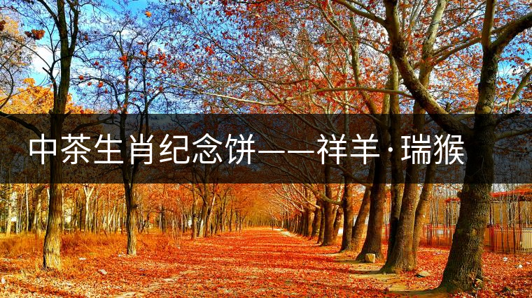 中茶生肖紀念餅——祥羊·瑞猴（生茶）對比開湯