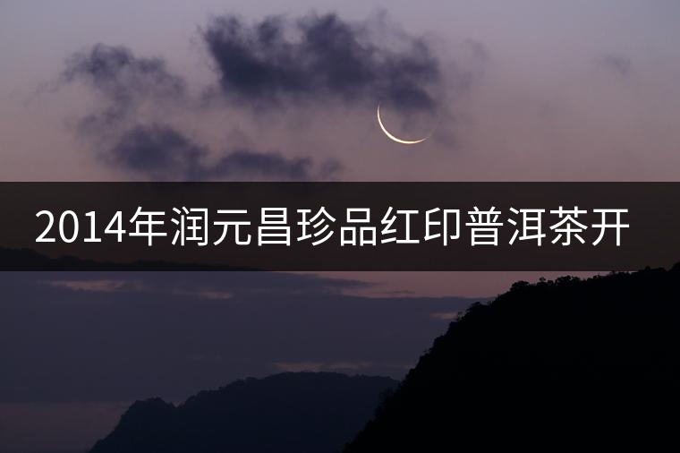 2014年潤(rùn)元昌珍品紅印普洱茶開湯品鑒