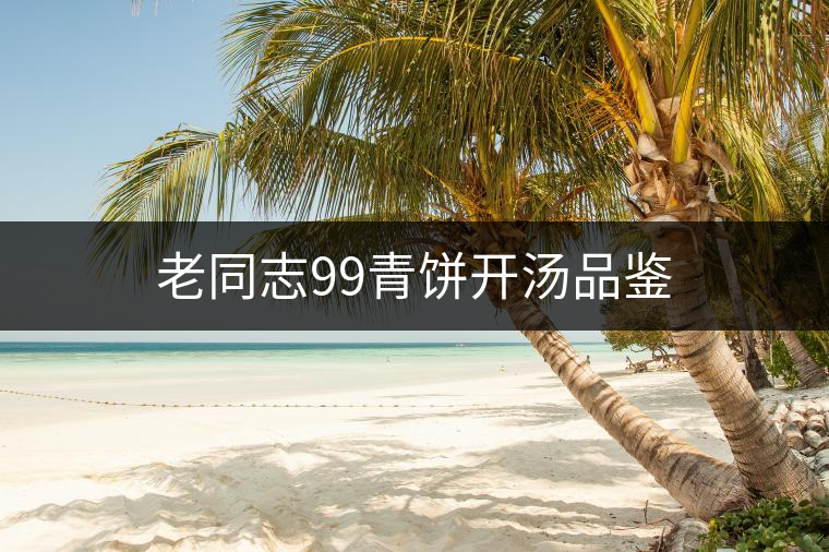 老同志99青餅開(kāi)湯品鑒