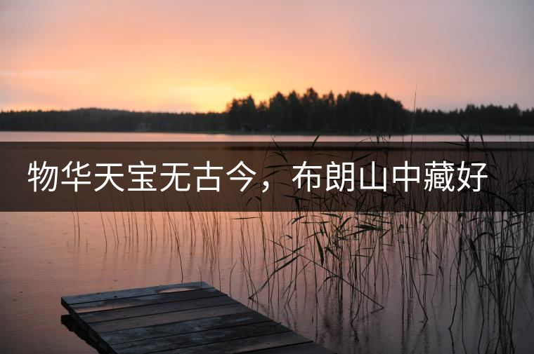 物華天寶無古今，布朗山中藏好茶