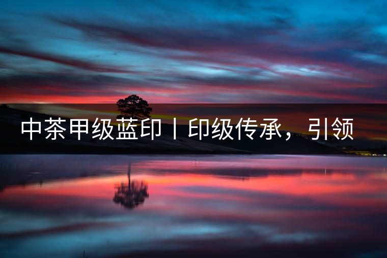 中茶甲級藍印丨印級傳承，引領風韻