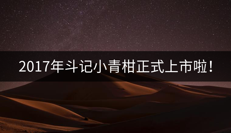 2017年斗記小青柑正式上市啦！