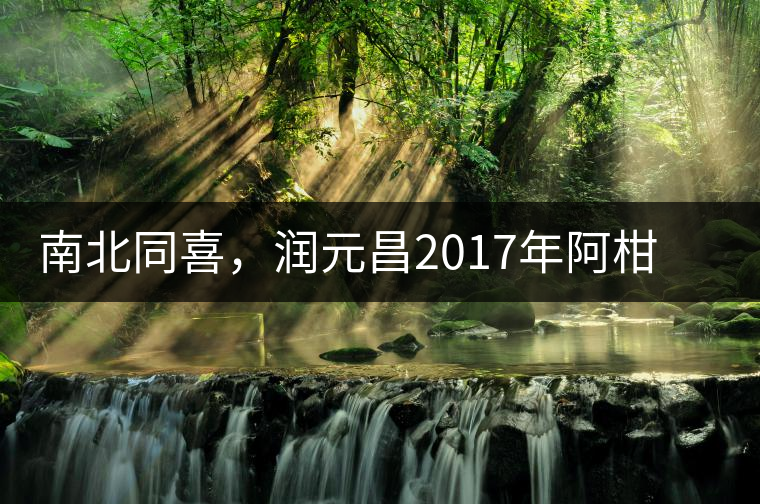 南北同喜，潤元昌2017年阿柑先生＆茶中鳳凰小青柑震撼來襲
