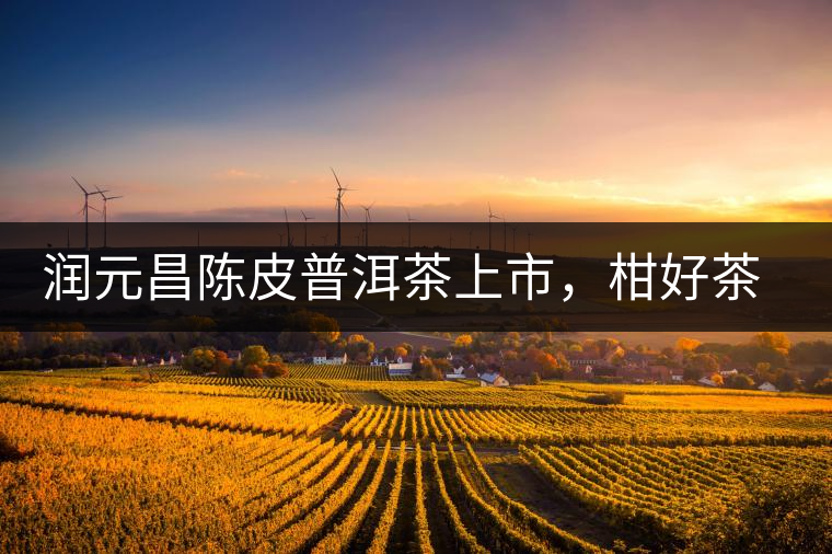 潤(rùn)元昌陳皮普洱茶上市，柑好茶更好，精品普洱茶