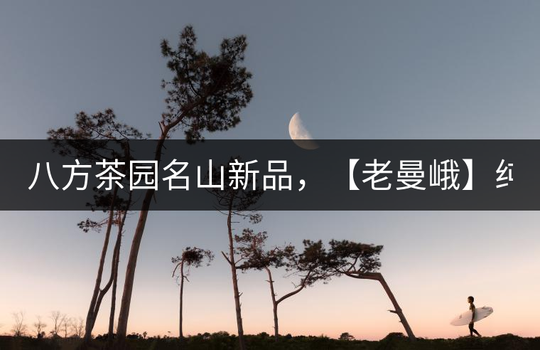 八方茶園名山新品，【老曼峨】純料來襲！