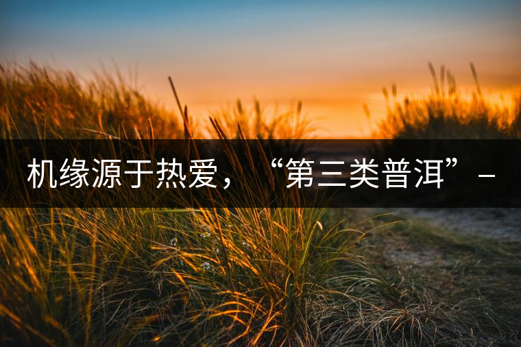 機緣源于熱愛，“第三類普洱”——“散壓茶TM”的誕生。