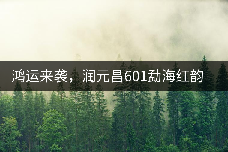 鴻運來襲，潤元昌601勐海紅韻熟茶即將上市