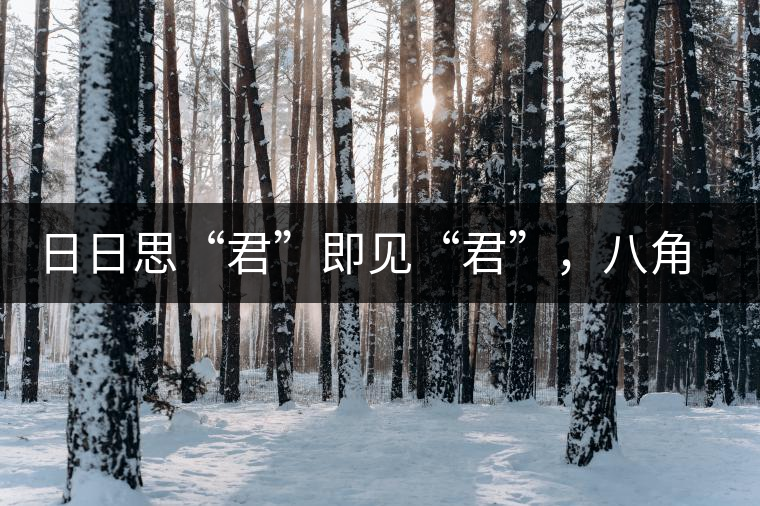日日思“君”即見“君”，八角亭竹筒茶君子即將上市