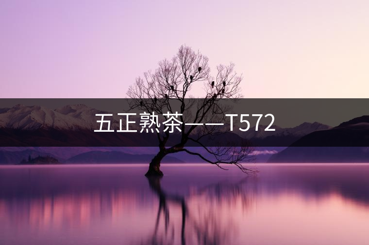 五正熟茶——T572 五正熟茶——T572