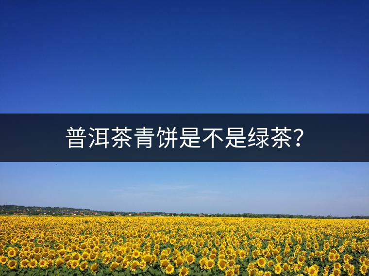 普洱茶青餅是不是綠茶？