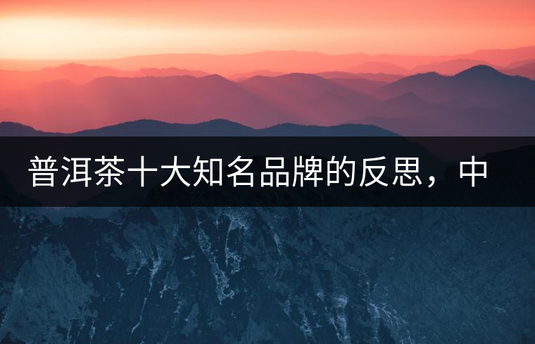 普洱茶十大知名品牌的反思，中國(guó)有沒有真正的普洱茶高端品牌？