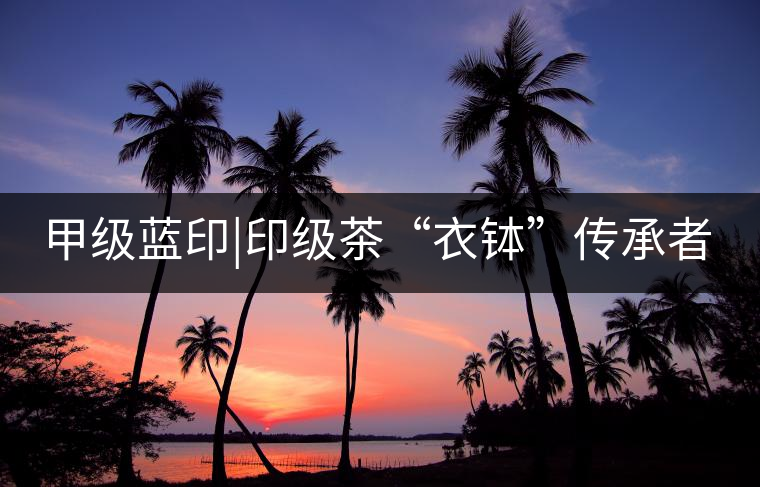 甲級藍(lán)印|印級茶“衣缽”傳承者 甲級藍(lán)印|印級茶“衣缽”傳承者