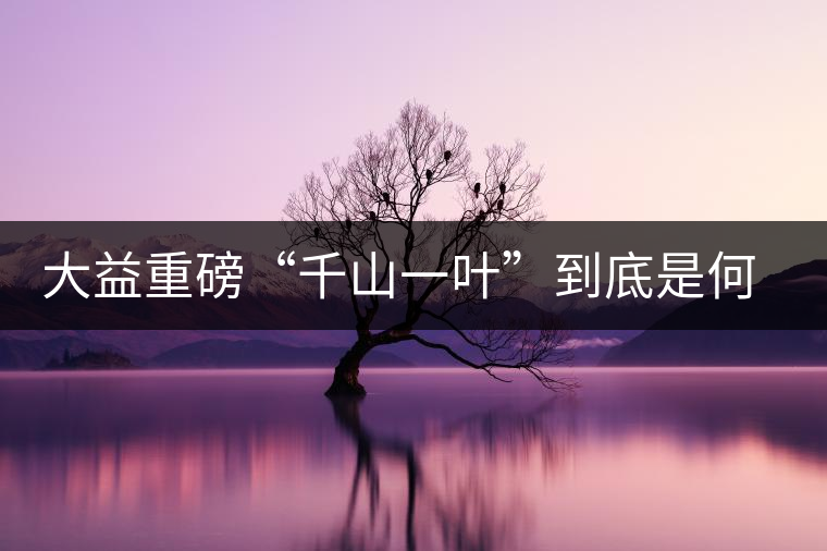 大益重磅“千山一葉”到底是何方神圣？