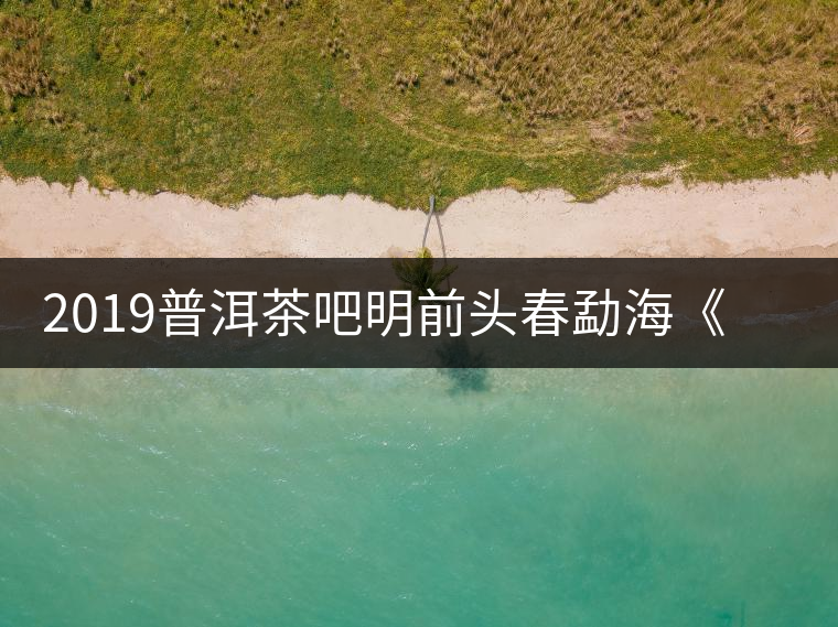 2019普洱茶吧明前頭春勐?！对鹿獍住钒撞鑳?yōu)惠訂購