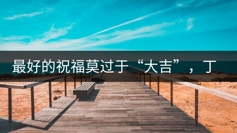 最好的祝福莫過于“大吉”，丁酉年生肖餅震撼來襲！