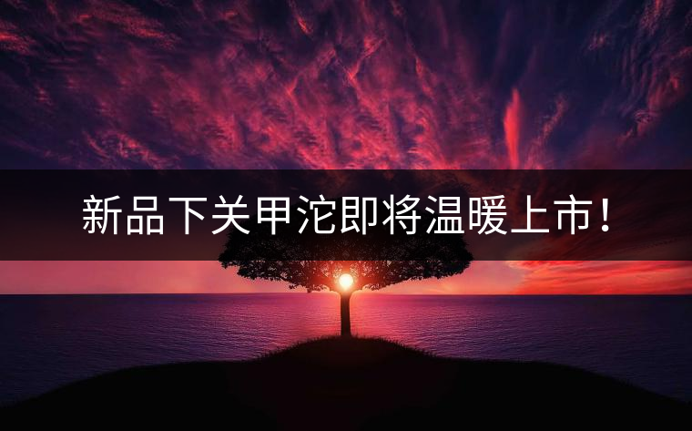 新品下關(guān)甲沱即將溫暖上市！