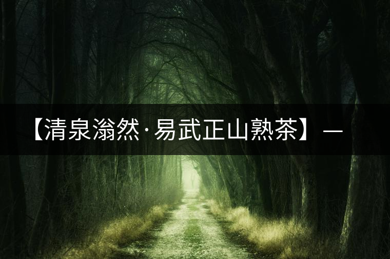 【清泉滃然·易武正山熟茶】——熨帖冬季的寒冷，來的正是時候！