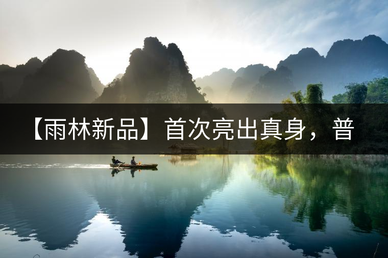 【雨林新品】首次亮出真身，普洱茶史上第一件新班章！