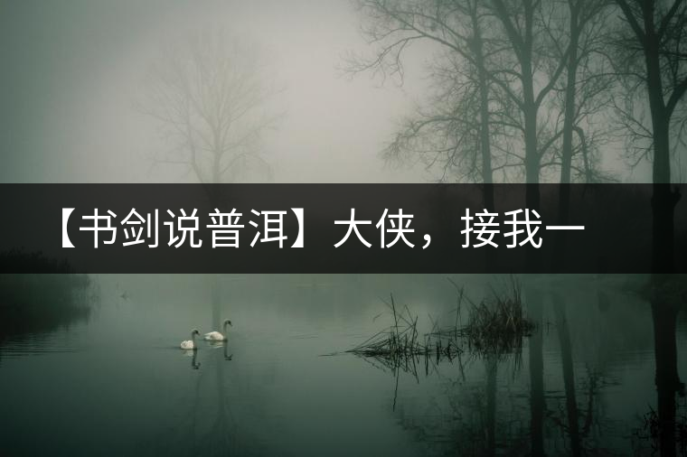 【書劍說普洱】大俠，接我一棒