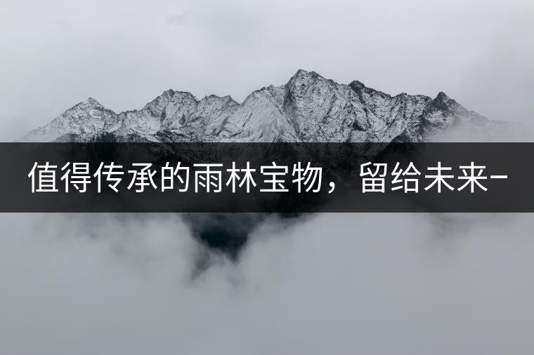 值得傳承的雨林寶物，留給未來一點“回甘”！