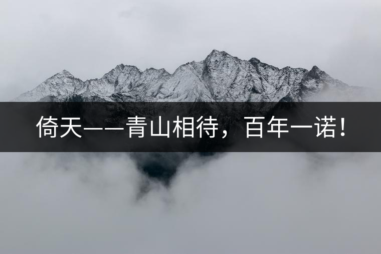 倚天——青山相待，百年一諾！