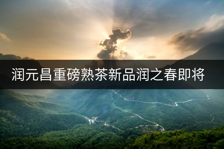 潤(rùn)元昌重磅熟茶新品潤(rùn)之春即將上市