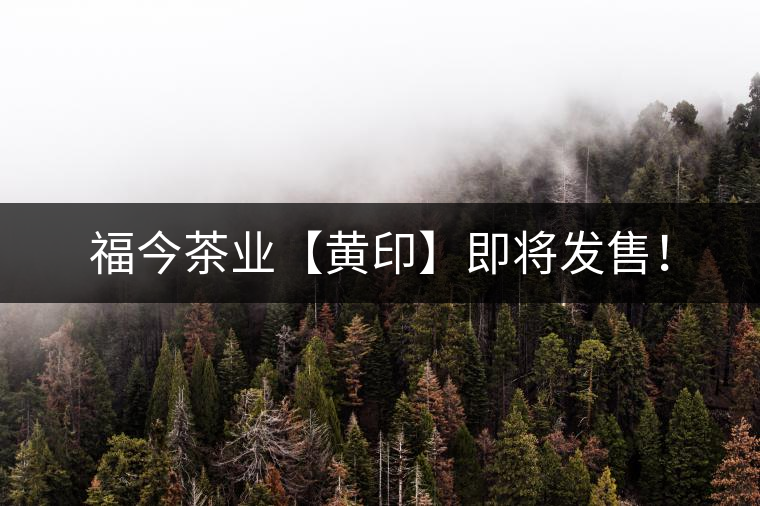 福今茶業(yè)【黃印】即將發(fā)售！