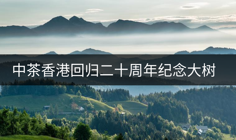 中茶香港回歸二十周年紀念大樹普洱茶上市