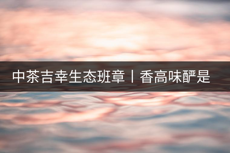 中茶吉幸生態(tài)班章丨香高味釅是王者，且品且珍惜