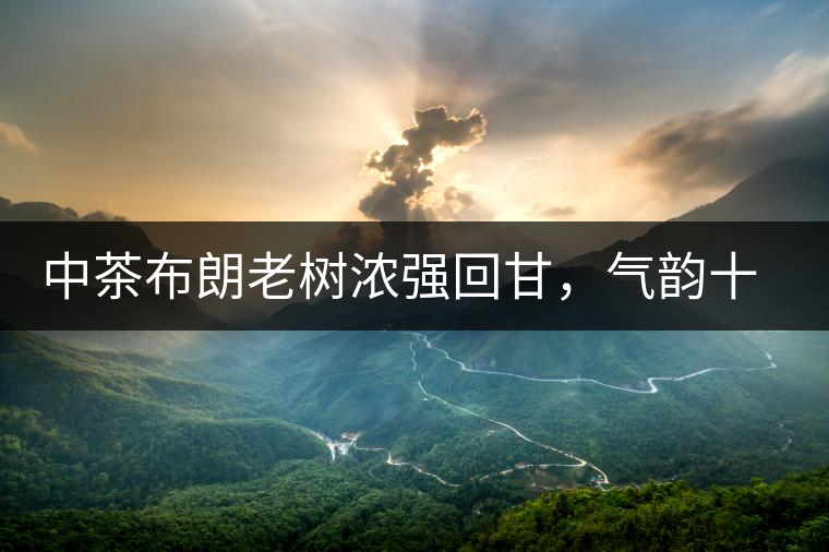 中茶布朗老樹濃強(qiáng)回甘，氣韻十足