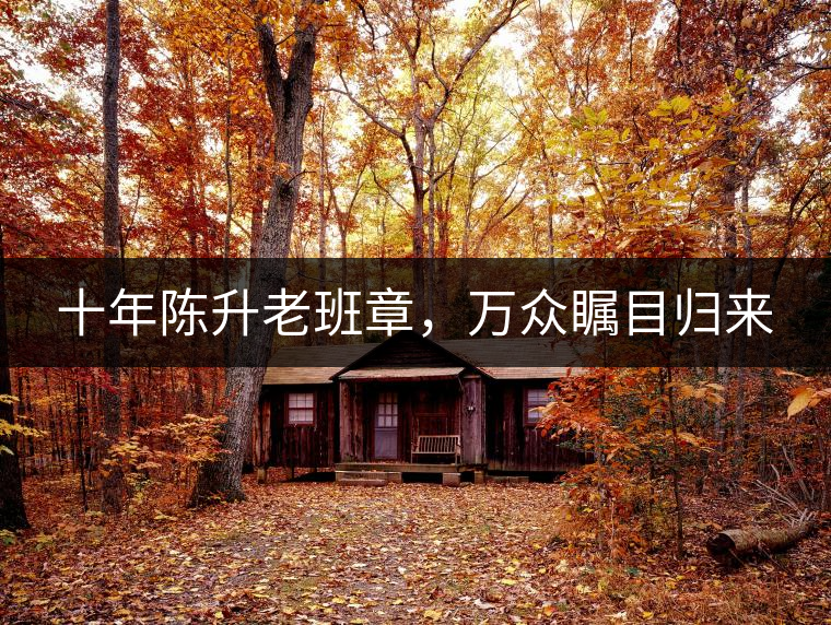 十年陳升老班章，萬眾矚目歸來