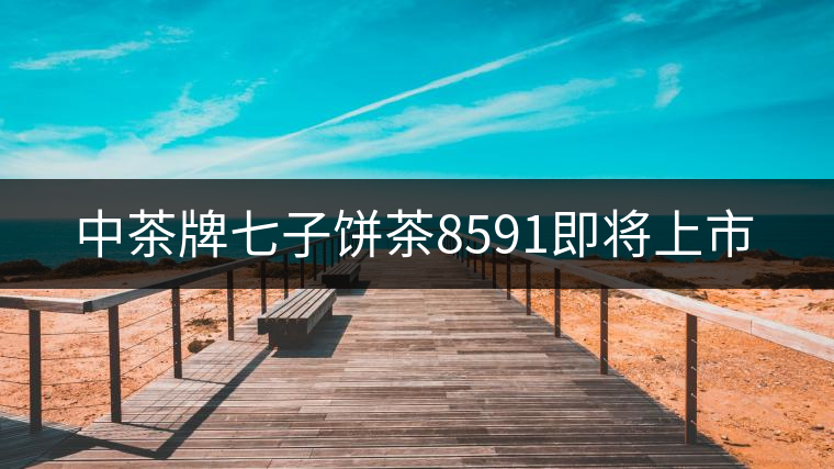 中茶牌七子餅茶8591即將上市 中茶牌七子餅茶8591即將上市