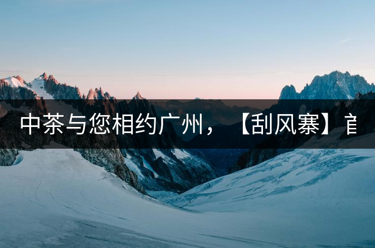 中茶與您相約廣州，【刮風(fēng)寨】首次亮相！