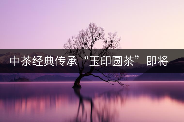 中茶經典傳承“玉印圓茶”即將上市 中茶經典傳承“玉印圓茶”即將上市