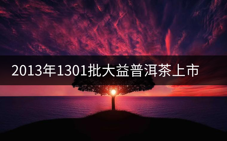 2013年1301批大益普洱茶上市產(chǎn)品大全 2013年1301批大益普洱茶上市產(chǎn)品大全