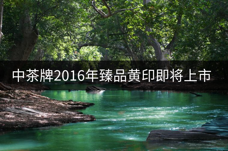 中茶牌2016年臻品黃印即將上市! 中茶牌2016年臻品黃印即將上市!