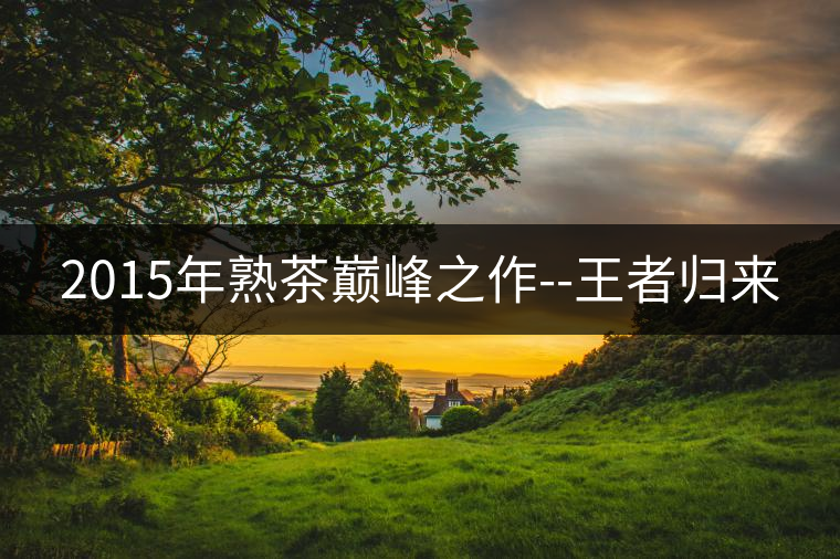 2015年熟茶巔峰之作--王者歸來 2015年熟茶巔峰之作--王者歸來