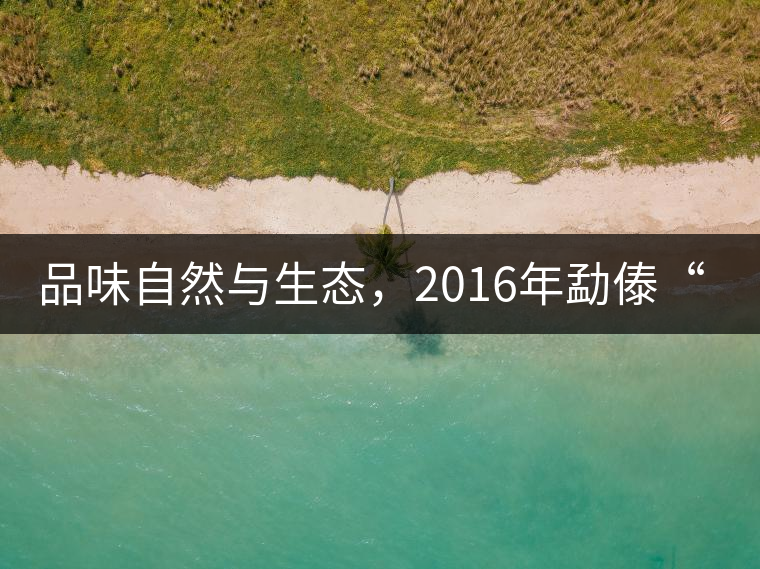 品味自然與生態(tài),2016年勐傣“大雪山古樹(shù)茶” 品味自然與生態(tài),2016年勐傣“大雪山古樹(shù)茶”