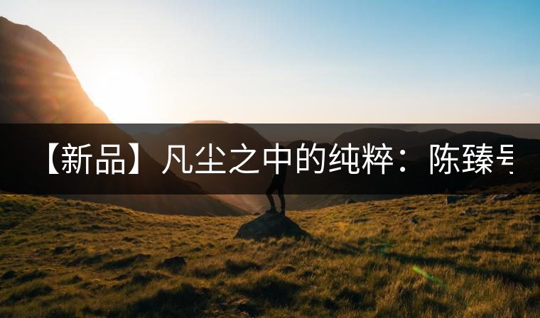 【新品】凡塵之中的純粹：陳臻號2016年精品青餅即將上市！