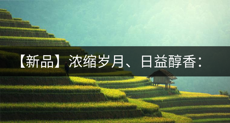 【新品】濃縮歲月、日益醇香：陳臻號陳品熟餅即將上市！