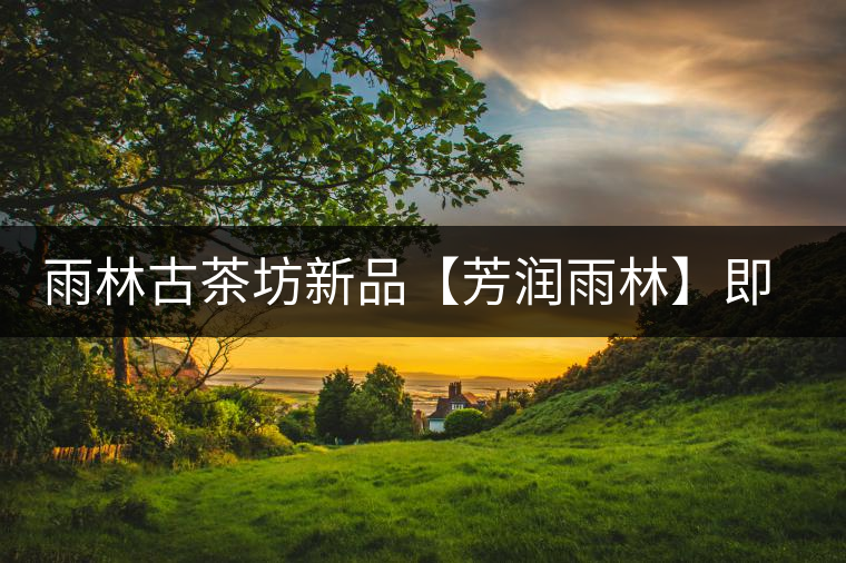 雨林古茶坊新品【芳潤雨林】即將上市 雨林古茶坊新品【芳潤雨林】即將上市