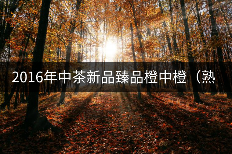 2016年中茶新品臻品橙中橙(熟茶)首發(fā) 2016年中茶新品臻品橙中橙(熟茶)首發(fā)