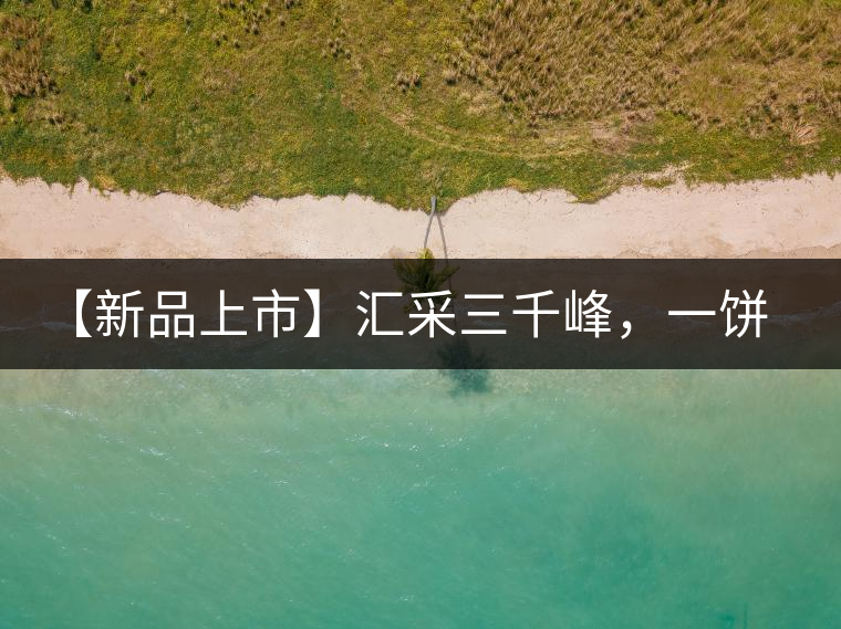 【新品上市】匯采三千峰，一餅群山鑄——群峰之峻！