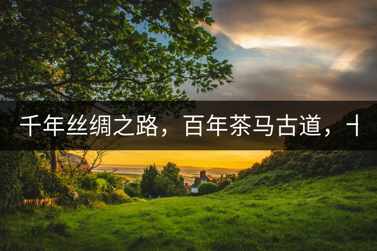 千年絲綢之路，百年茶馬古道，十年尋茶之旅，鑄造Puertea（十年紀(jì)念茶）