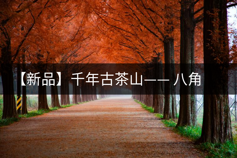 【新品】千年古茶山—— 八角亭南糯大葉方磚即將上市 【新品】千年古茶山—— 八角亭南糯大葉方磚即將上市